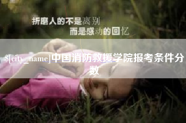山西中国消防救援学院报考条件分数