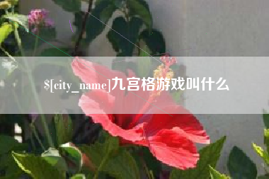 山西九宫格游戏叫什么