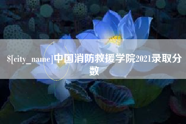 山西中国消防救援学院2021录取分数