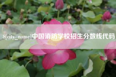 山西中国消防学校招生分数线代码