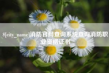 山西消防官网查询系统查询消防职业资格证书