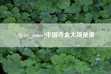 山西中国夺金大项是谁