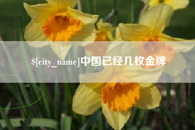 山西中国已经几枚金牌