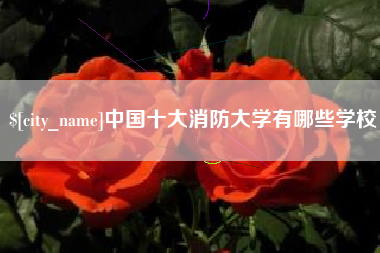 山西中国十大消防大学有哪些学校