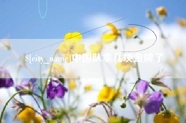 山西中国队拿几块金牌了