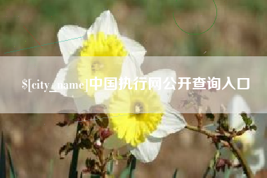 山西中国执行网公开查询入口