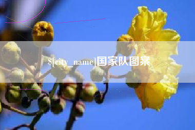 山西国家队图案
