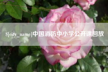 山西中国消防中小学公开课回放