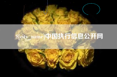 山西中国执行信息公开网
