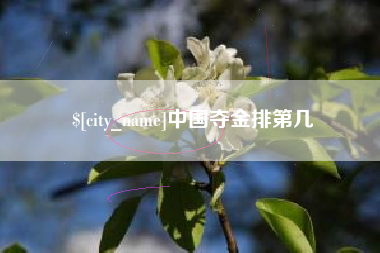 山西中国夺金排第几
