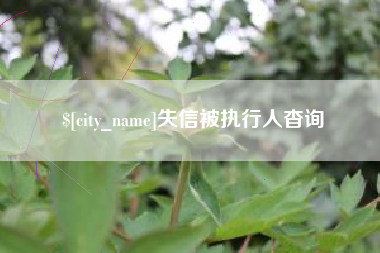 山西失信被执行人杳询