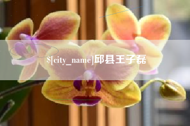 山西邱县王子磊