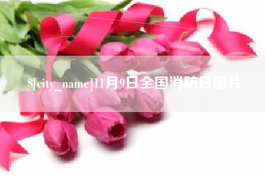 山西11月9日全国消防日图片