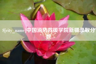 山西中国消防救援学院新疆录取分数