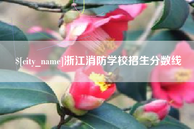 山西浙江消防学校招生分数线