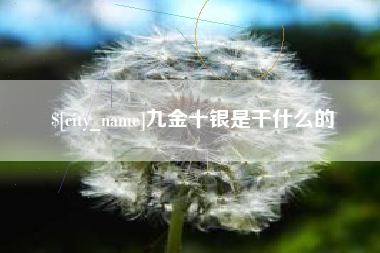 山西九金十银是干什么的