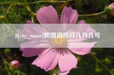 山西我国消防日几月几号