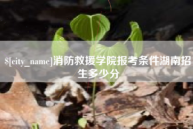 山西消防救援学院报考条件湖南招生多少分
