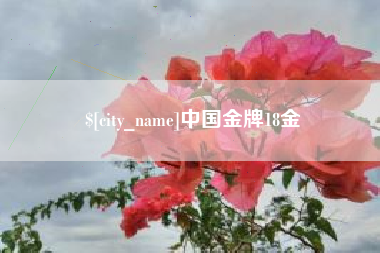 山西中国金牌18金