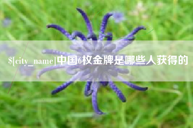 山西中国6枚金牌是哪些人获得的