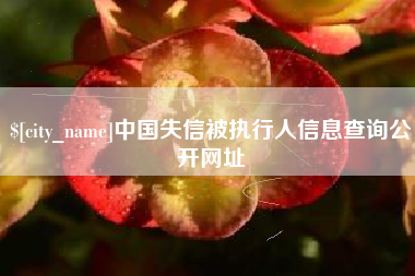 山西中国失信被执行人信息查询公开网址