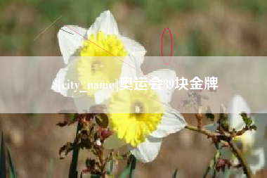 山西奥运会39块金牌