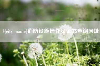 山西消防设施操作员证书查询网址