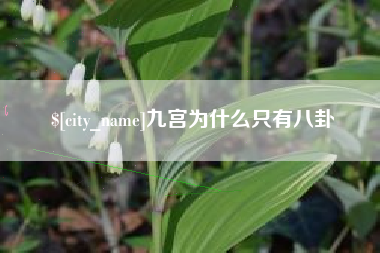 山西九宫为什么只有八卦