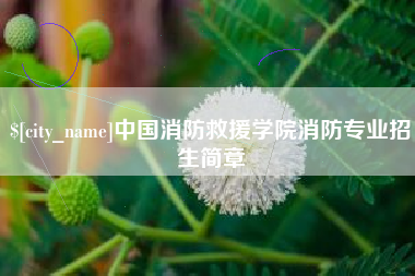 山西中国消防救援学院消防专业招生简章