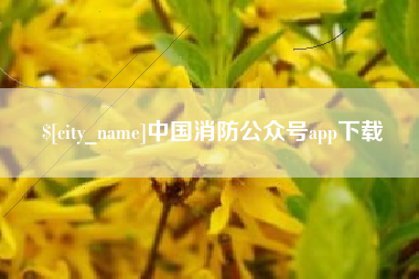 山西中国消防公众号app下载