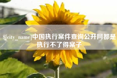 山西中国执行案件查询公开网都是执行不了得案子