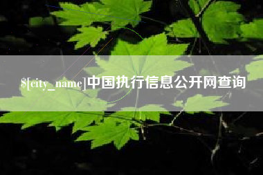 山西中国执行信息公开网查询