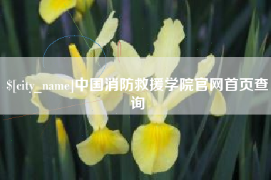 山西中国消防救援学院官网首页查询