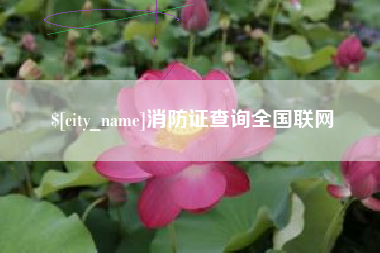 山西消防证查询全国联网