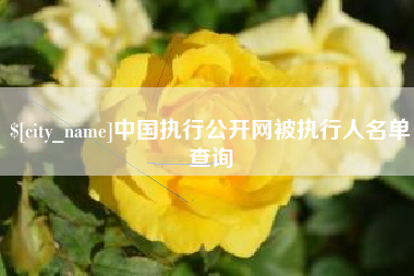 山西中国执行公开网被执行人名单查询