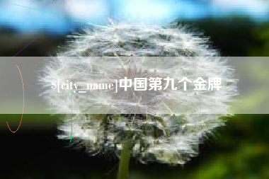 山西中国第九个金牌