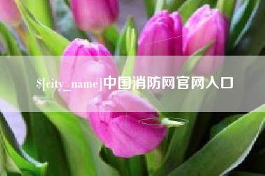 山西中国消防网官网入口