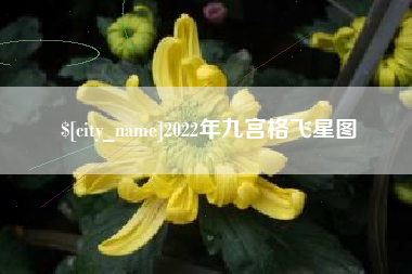 山西2022年九宫格飞星图