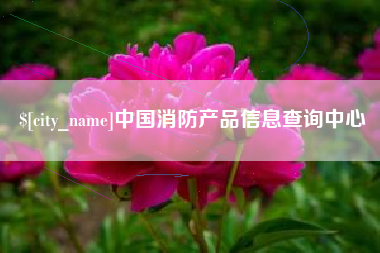 山西中国消防产品信息查询中心