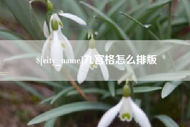山西九宫格怎么排版
