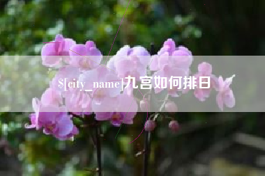 山西九宫如何排日