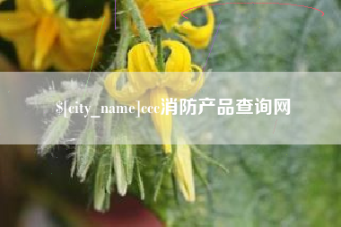 山西ccc消防产品查询网