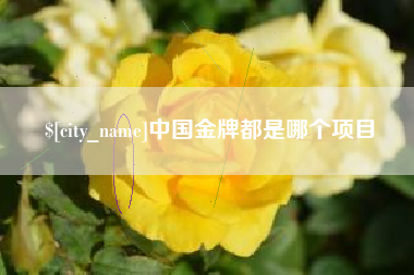 山西中国金牌都是哪个项目