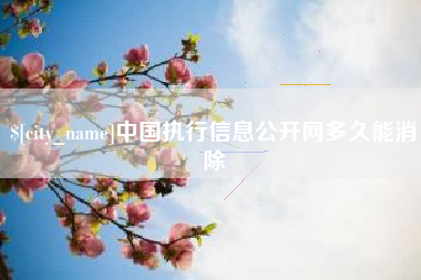 山西中国执行信息公开网多久能消除