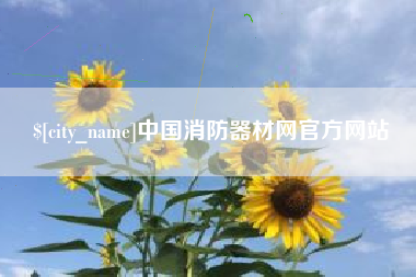 山西中国消防器材网官方网站