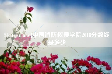 山西中国消防救援学院2018分数线是多少