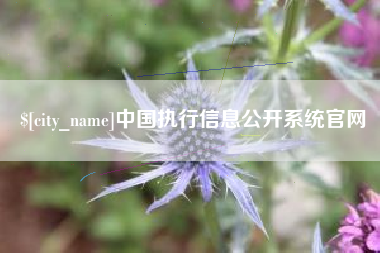 山西中国执行信息公开系统官网