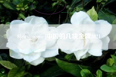 山西中国的几块金牌2021