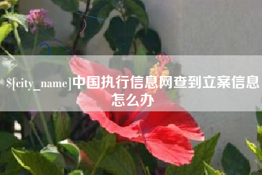 山西中国执行信息网查到立案信息怎么办