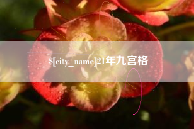 山西21年九宫格